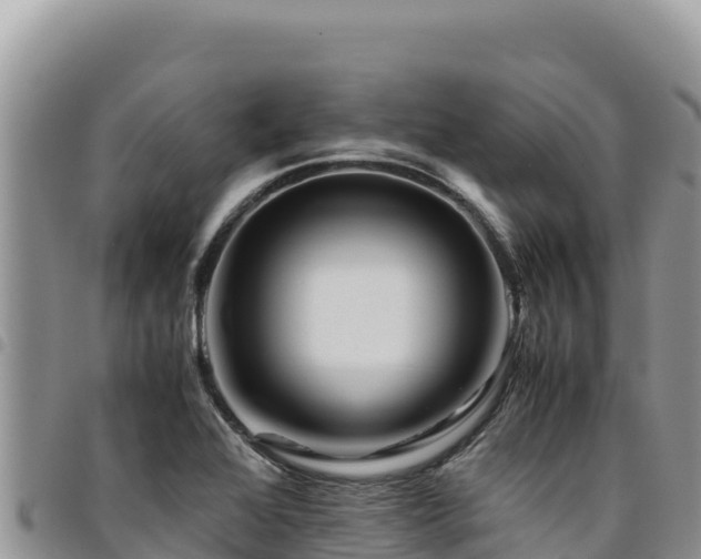X0000094931368200711291325
