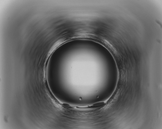 X0000094931370200711291325