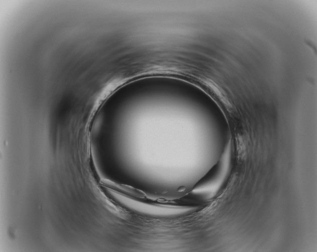 X0000094931371200711291325