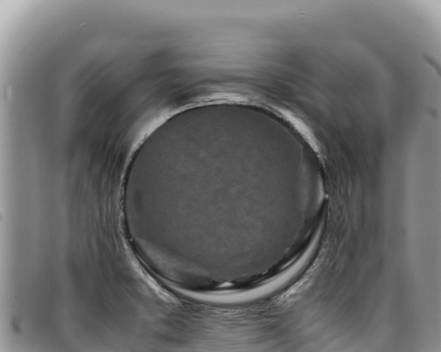 X0000094931373200711291325
