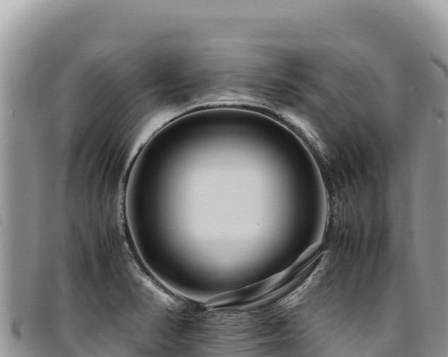 X0000094931374200711291325