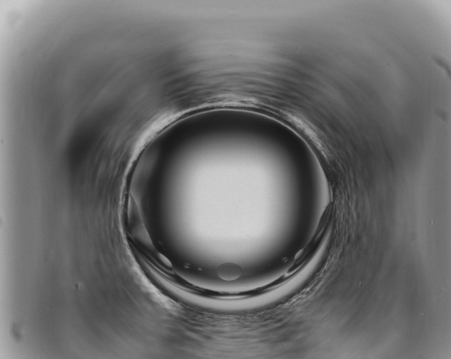 X0000094931379200711291325