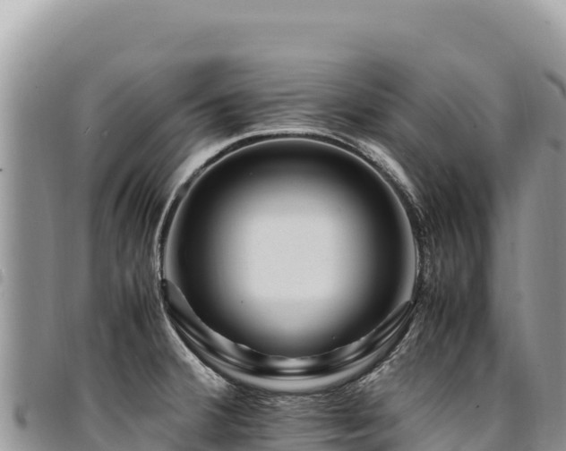 X0000094931380200711291325