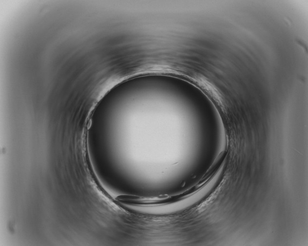 X0000094931382200711291325