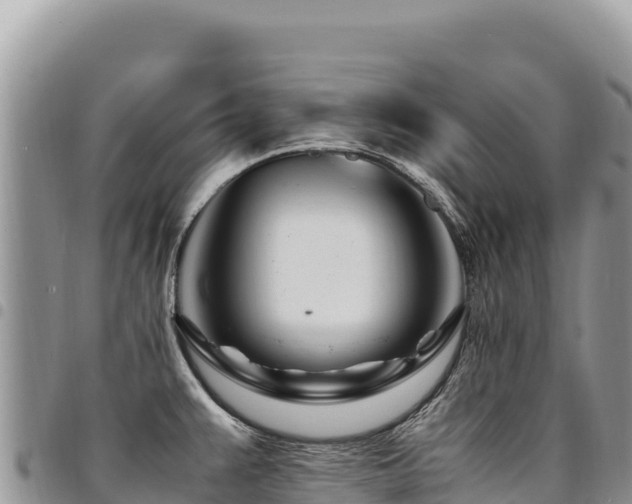 X0000094931383200711291325