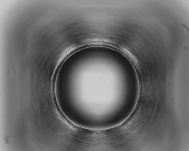 X0000094931384200711291325