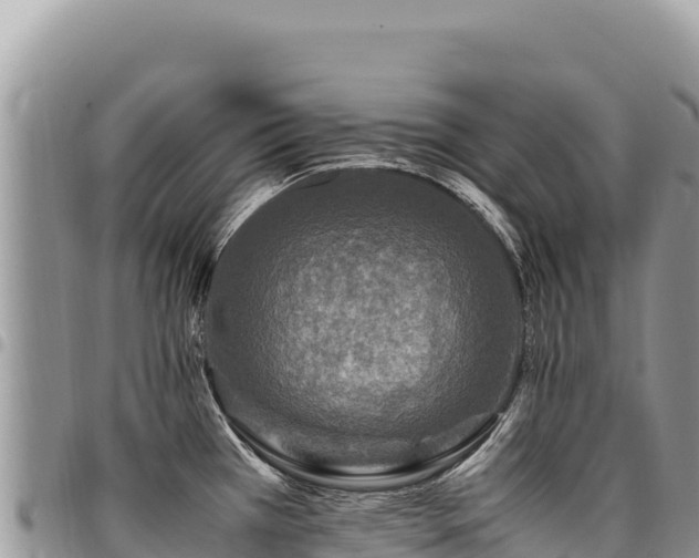 X0000094931385200711291325