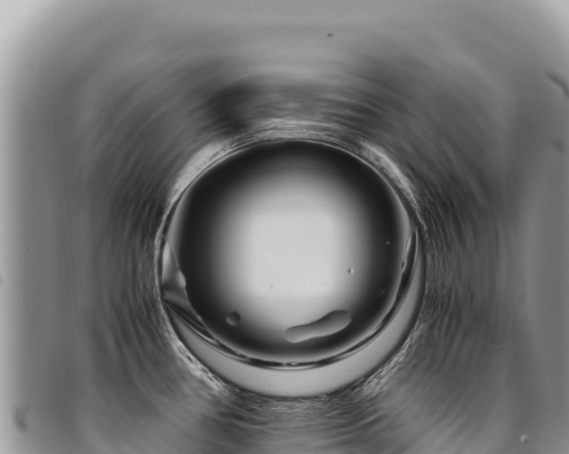 X0000094931386200711291325