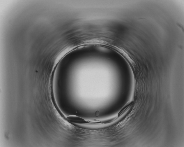 X0000094931387200711291325