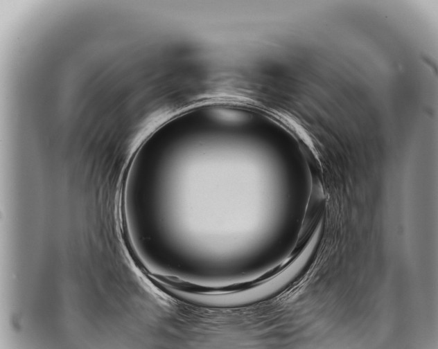 X0000094931391200711291325