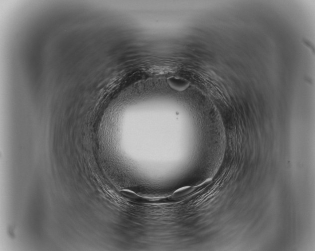 X0000094931393200711291324