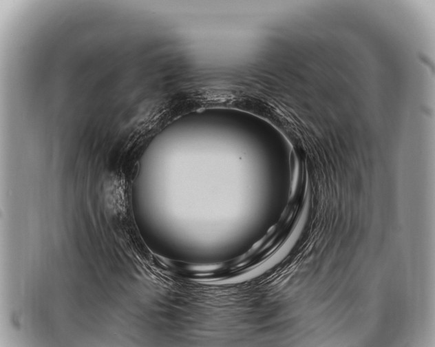 X0000094931394200711291324