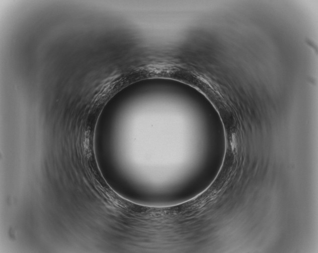 X0000094931396200711291324