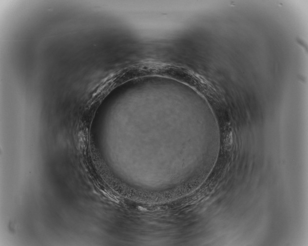 X0000094931397200711291324