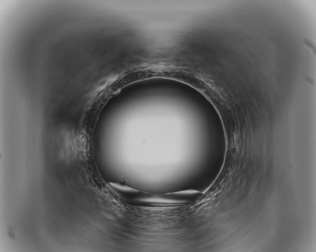 X0000094931398200711291324
