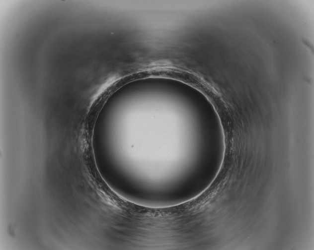 X0000094931400200711291324