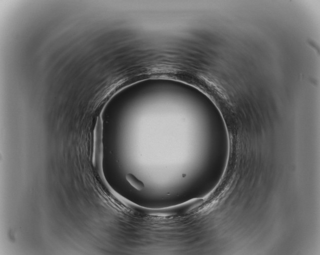 X0000094931401200711291324