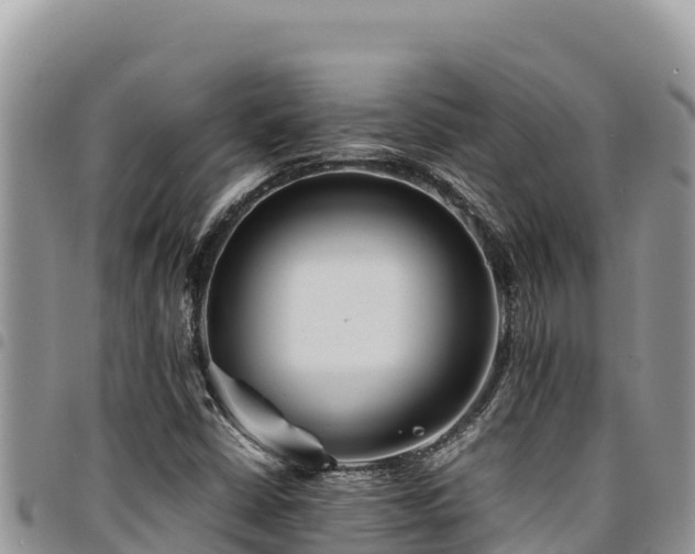 X0000094931402200711291324