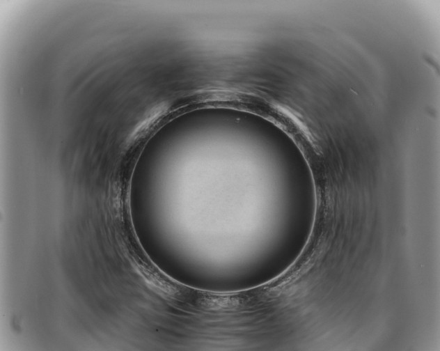 X0000094931403200711291324