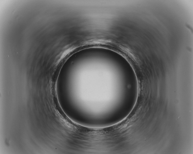 X0000094931404200711291324