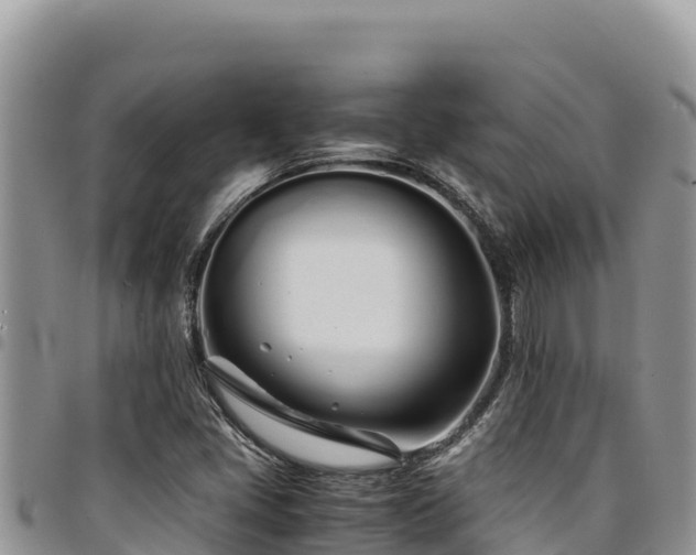 X0000094931405200711291324