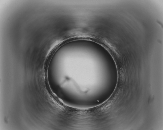 X0000094931408200711291324
