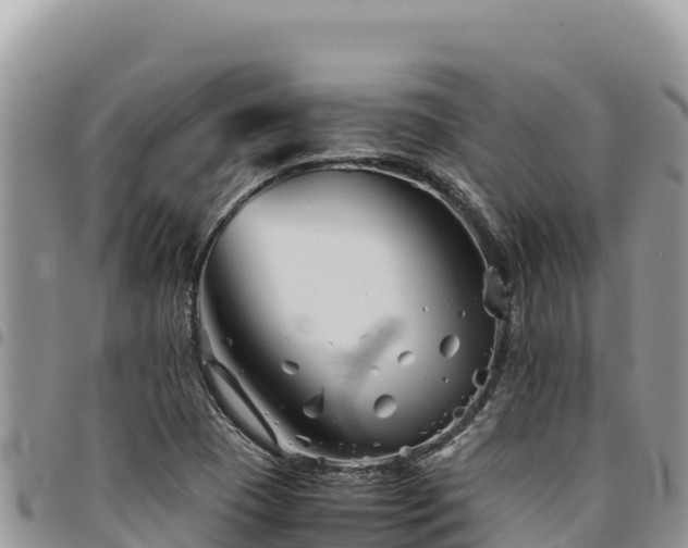 X0000094931409200711291324