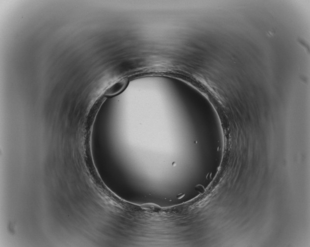 X0000094931410200711291325