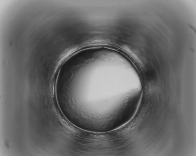 X0000094931413200711291325