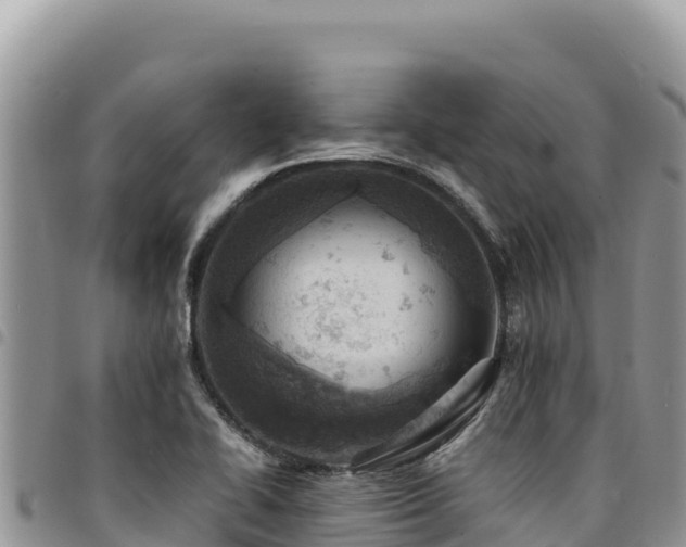 X0000094931414200711291325