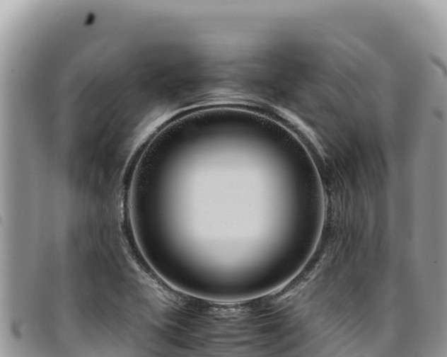 X0000094931415200711291325