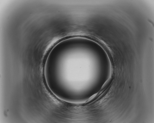 X0000094931416200711291325