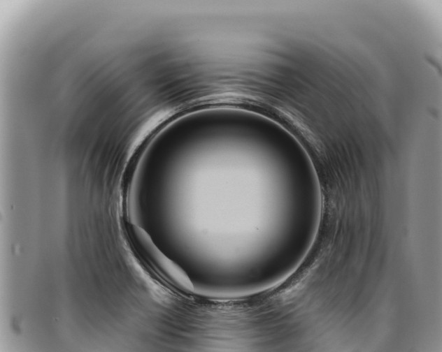 X0000094931418200711291325
