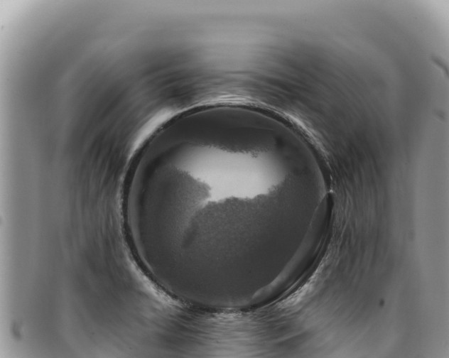 X0000094931422200711291325