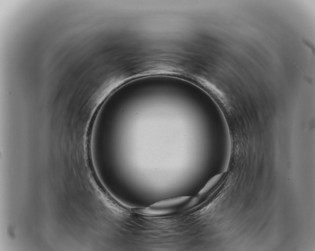 X0000094931423200711291325