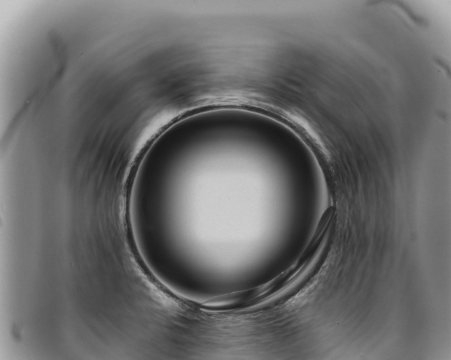 X0000094931424200711291325