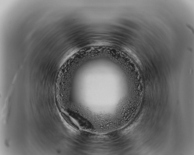 X0000094931425200711291325
