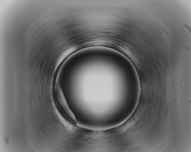 X0000094931426200711291325