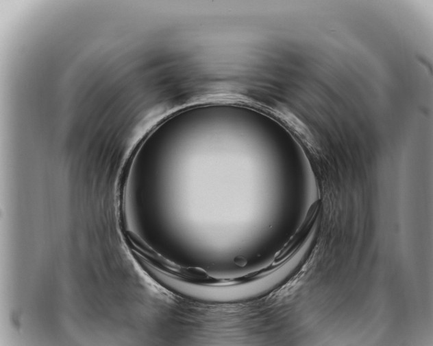 X0000094931430200711291325