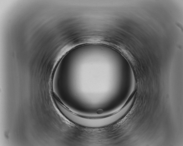 X0000094931432200711291325