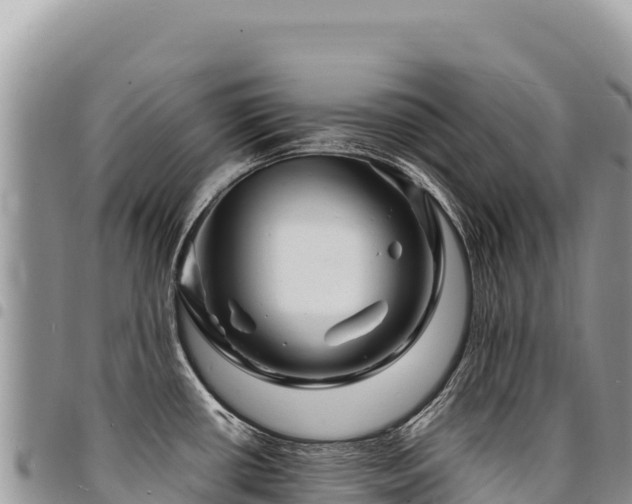 X0000094931434200711291325