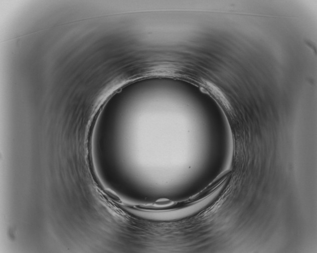 X0000094931435200711291325