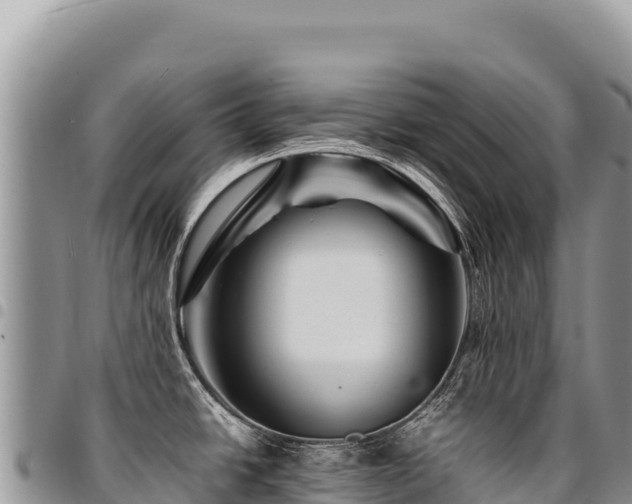 X0000094931438200711291325