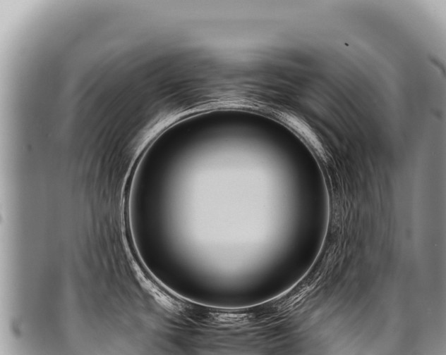 X0000094931439200711291325