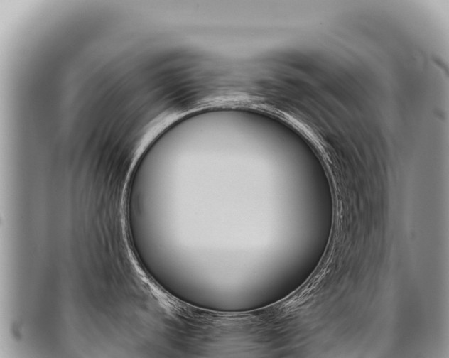 X0000094931440200711291325