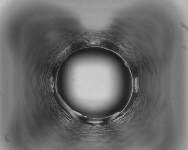 X0000094931443200711291324