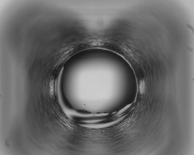 X0000094931444200711291324