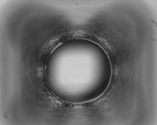 X0000094931445200711291324