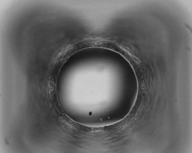 X0000094931447200711291324