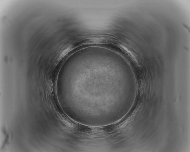 X0000094931449200711291324